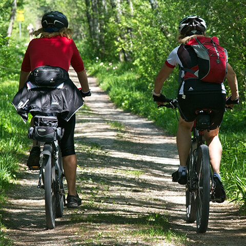 Explore Killarney National Park on Bike